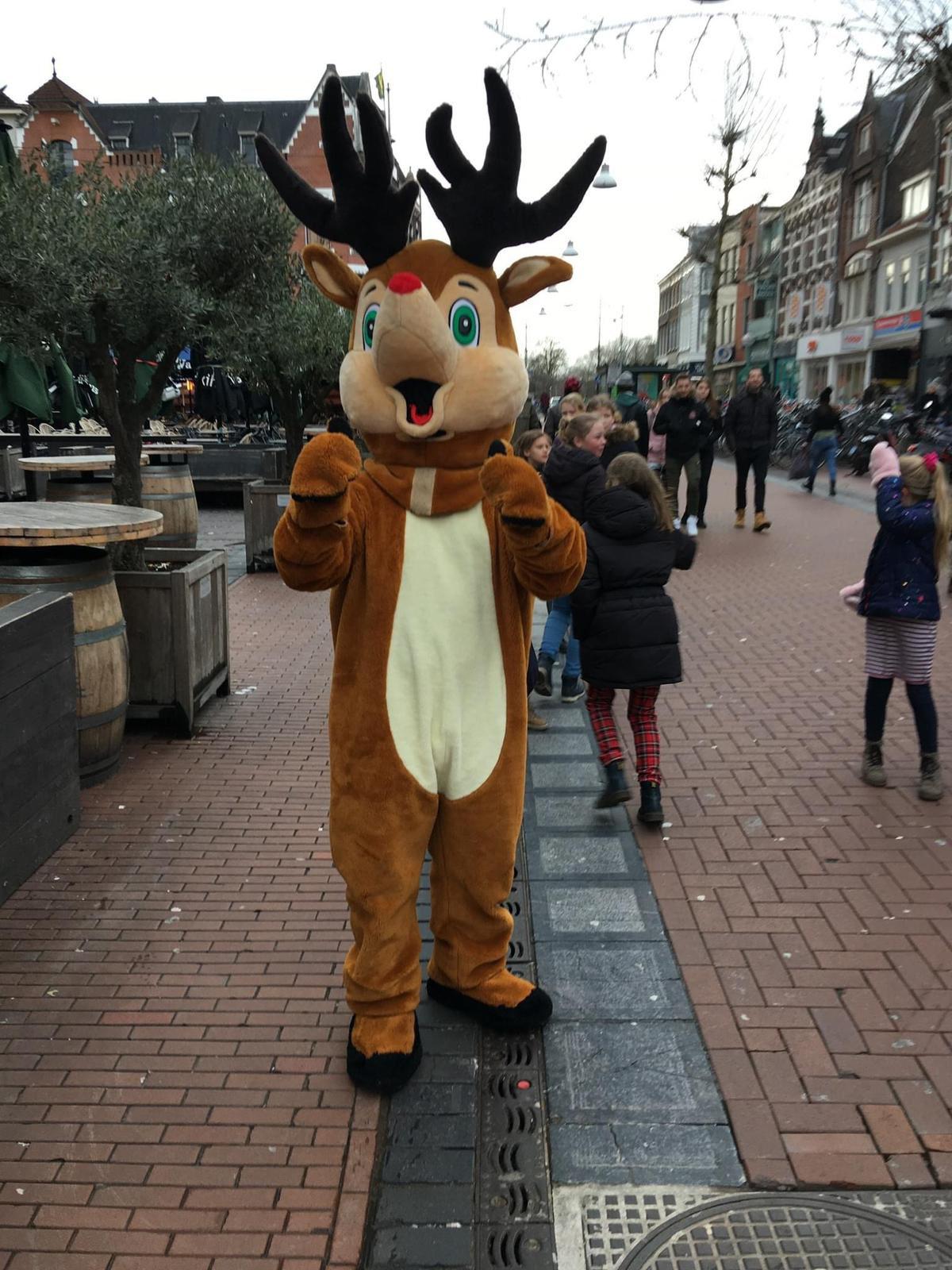 Kerst Looppop Rendier - www.funenpartymatch.nl