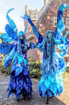 Prachtige Steltlopers Blauwe Elfjes