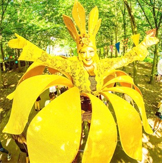 Narcissen en Goudsbloemen Steltlopers